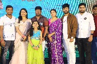 Ala Ninnu Cheri Movie Pre Release Event Photos